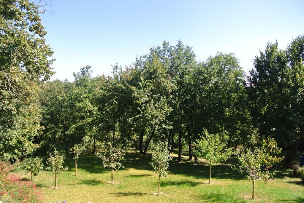 A L'Oree Du Bois Rillieux-la-Pape Quarto foto