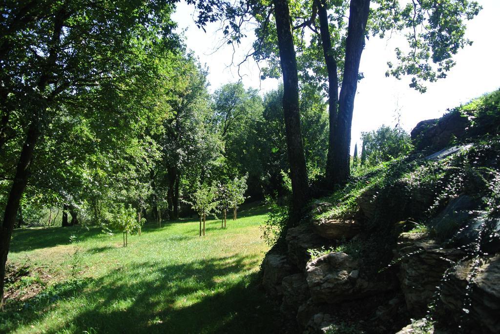 A L'Oree Du Bois Rillieux-la-Pape Quarto foto